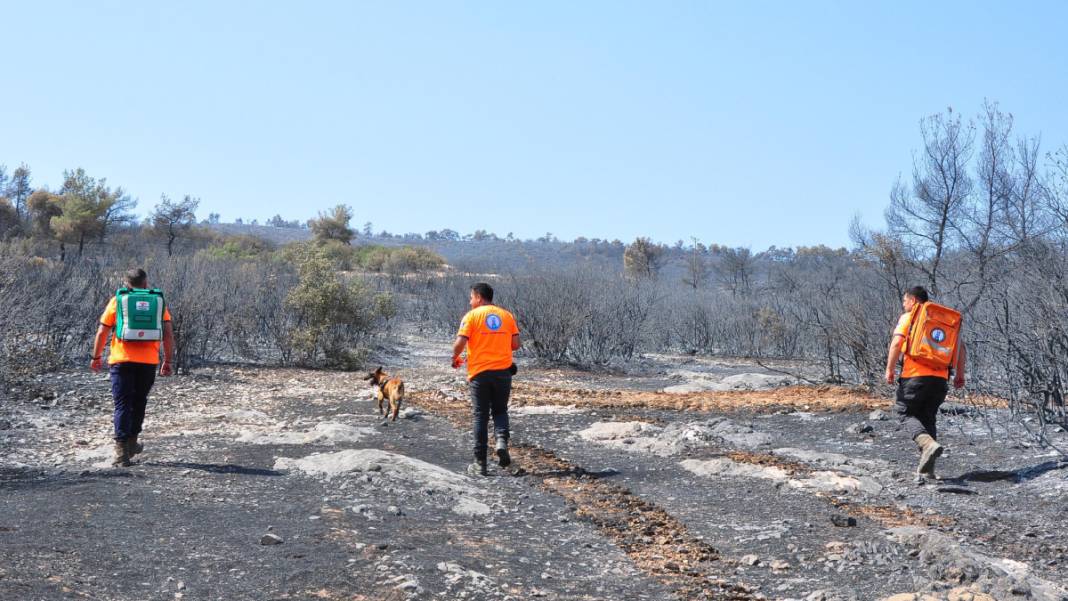 Kabus 23 saat sürmüştü: Sabotaj şüphesini 'Tarzan' çözecek 7